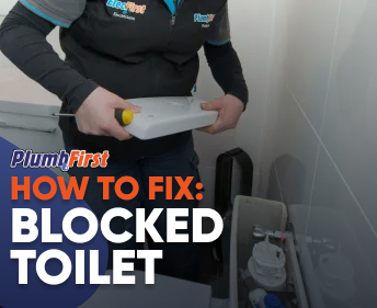 All Plumbing Needs