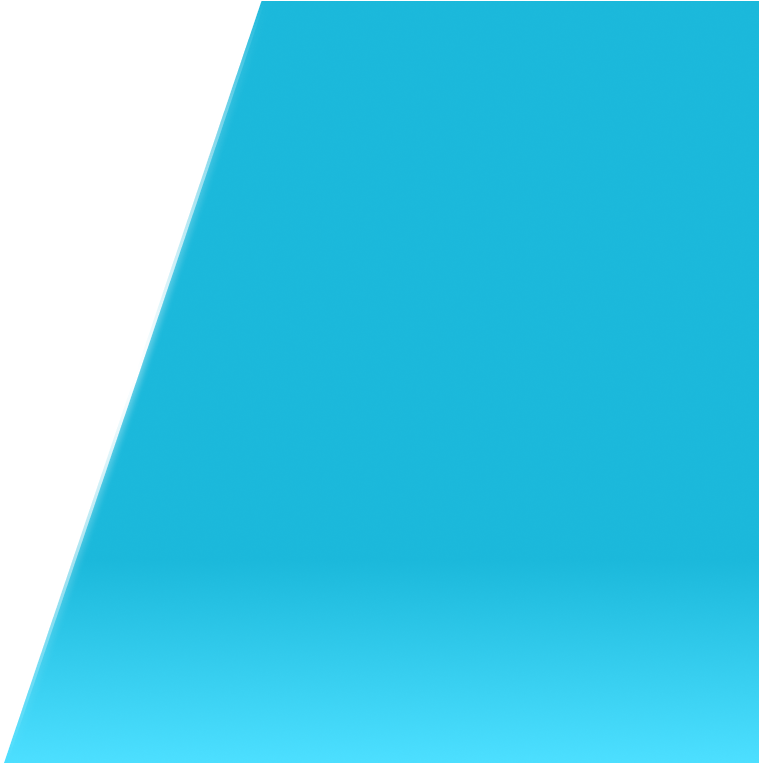 Professional Electrical